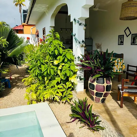 Oasis Paje Hotel